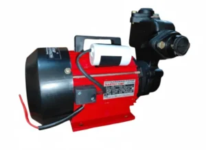 Mantex 1.1 HP Big Water Pump